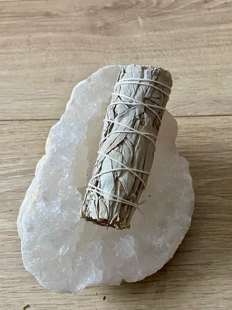 Sauge blanche